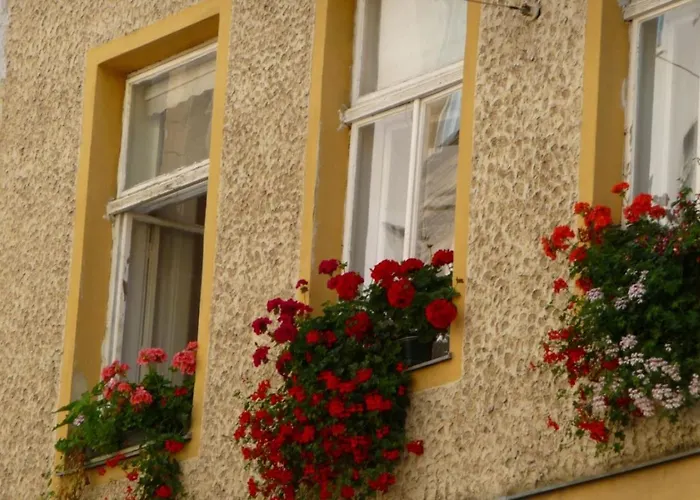 Streetview - Premium Flat At The Belvedere *