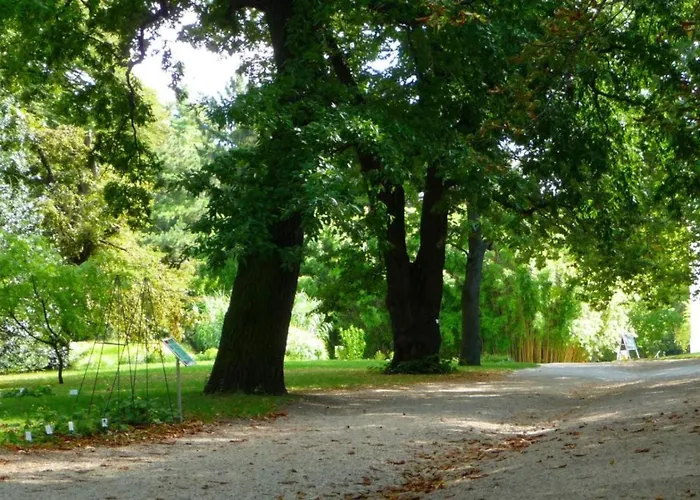 Appartement Streetview - Premium Flat At The Belvedere